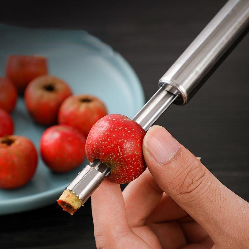 สแตนเลสสตีลผลไม้ Corer Apple S - Tech Accessories And Gadgets บทวิจารณ์และราคา